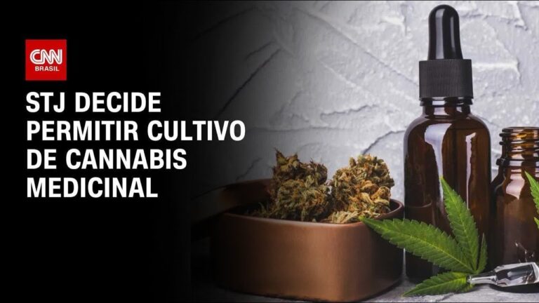 governo-de-sp-veta-projeto-que-inclui-cannabis-medicinal-no-remedio-popular